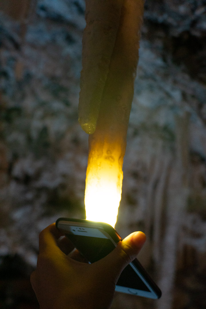 f:id:unyora-d:20200503225330j:plain f:id:unyora-d:20200503225330j:plain