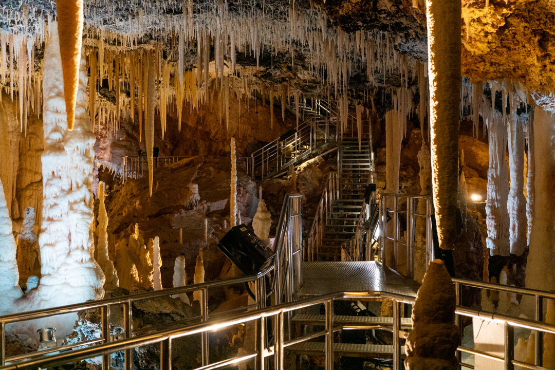 f:id:unyora-d:20200503225743j:plain f:id:unyora-d:20200503225743j:plain