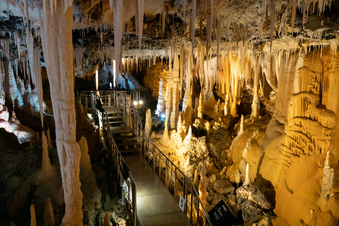 f:id:unyora-d:20200503225813j:plain f:id:unyora-d:20200503225813j:plain