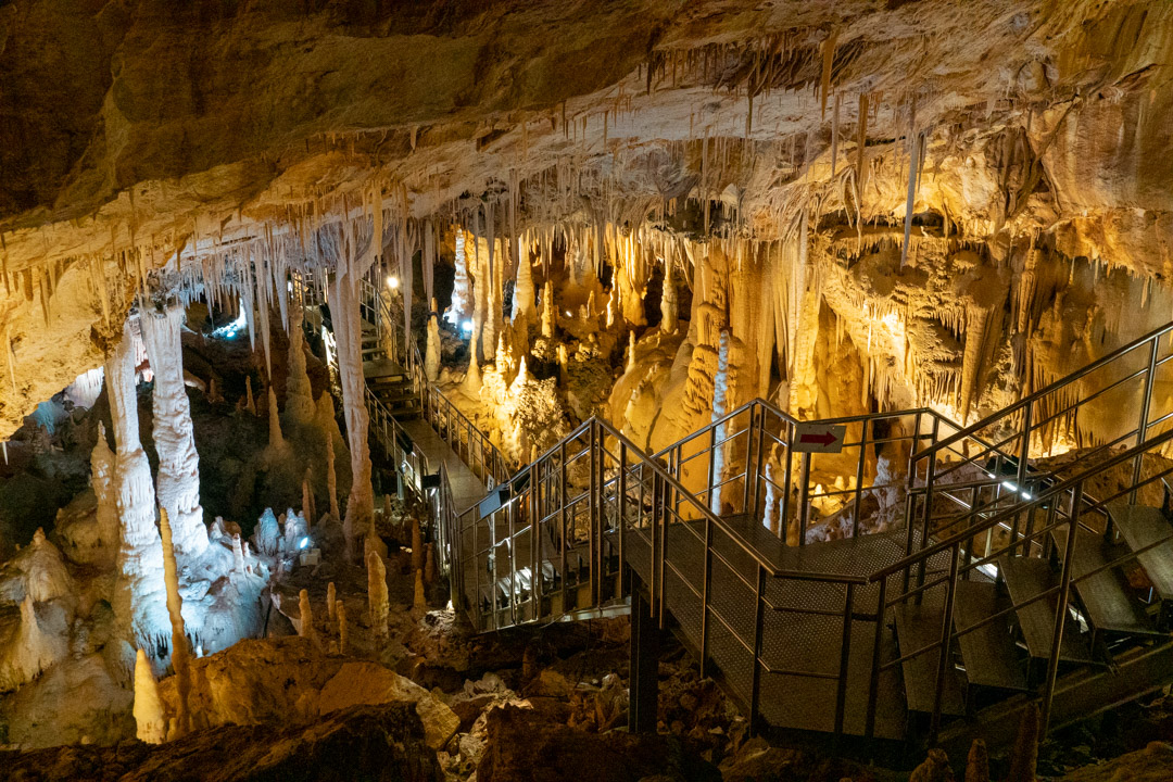 f:id:unyora-d:20200503225906j:plain f:id:unyora-d:20200503225906j:plain