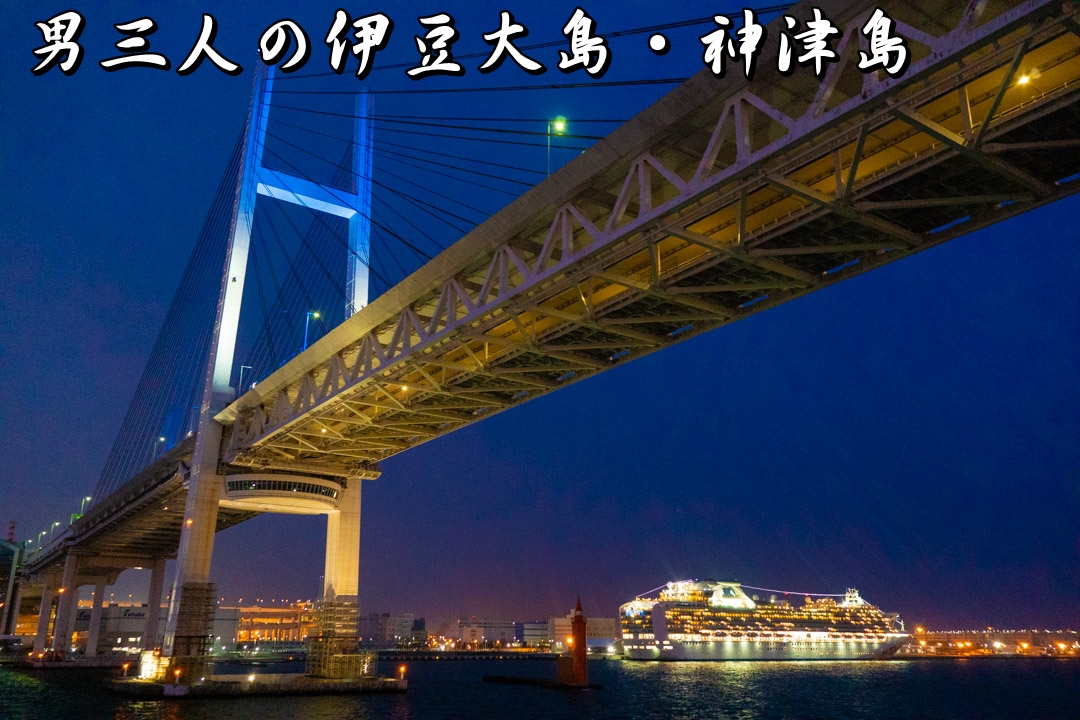 f:id:unyora-d:20200523211124j:plain