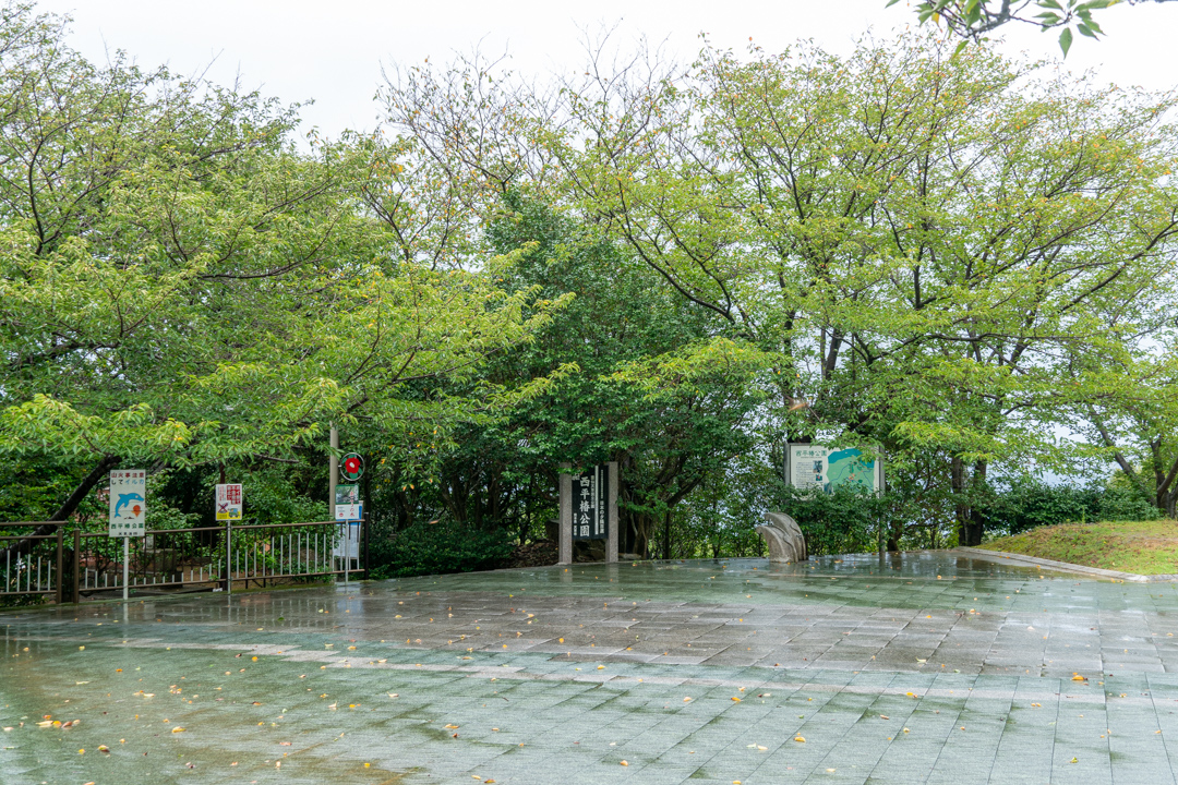 f:id:unyora-d:20201213220420j:plain