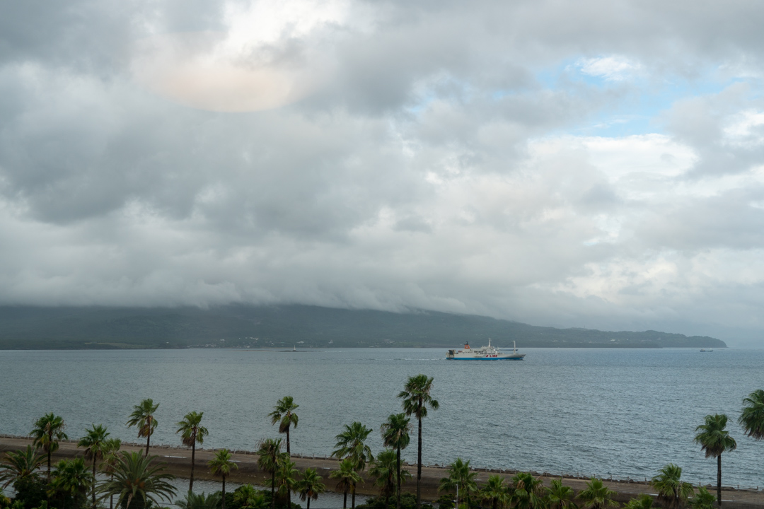 f:id:unyora-d:20201213221339j:plain