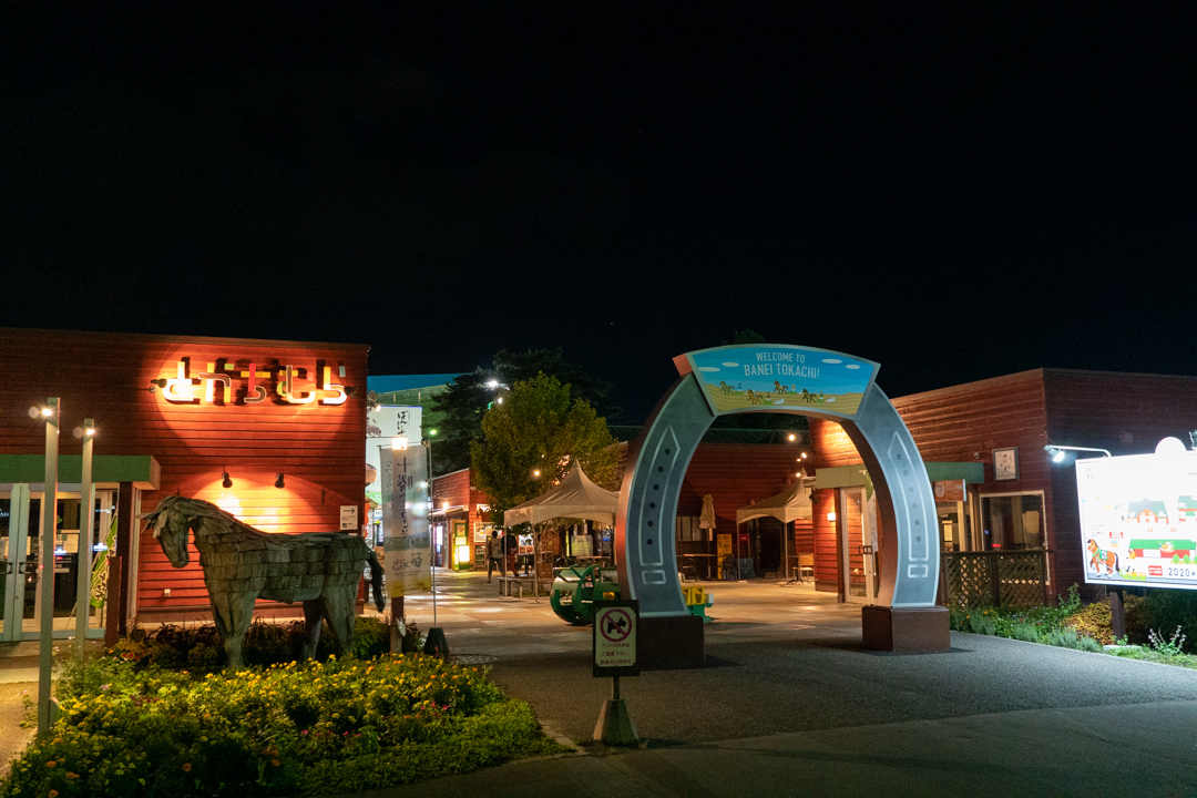 f:id:unyora-d:20210109233547j:plain