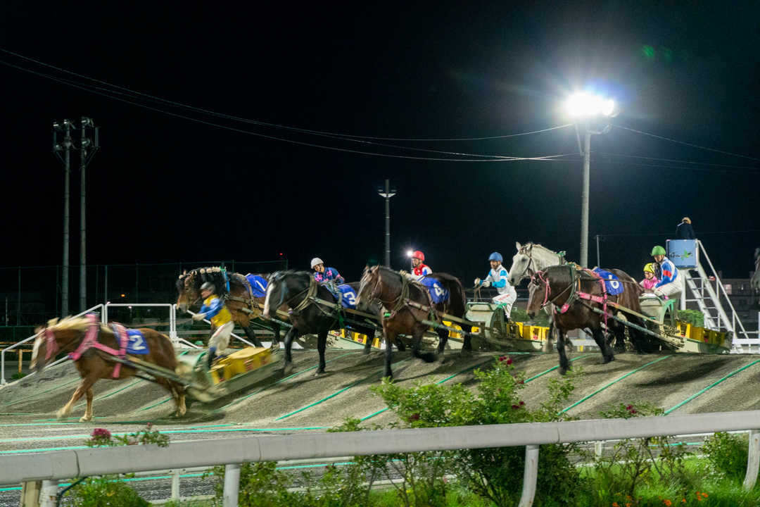 f:id:unyora-d:20210110194929j:plain