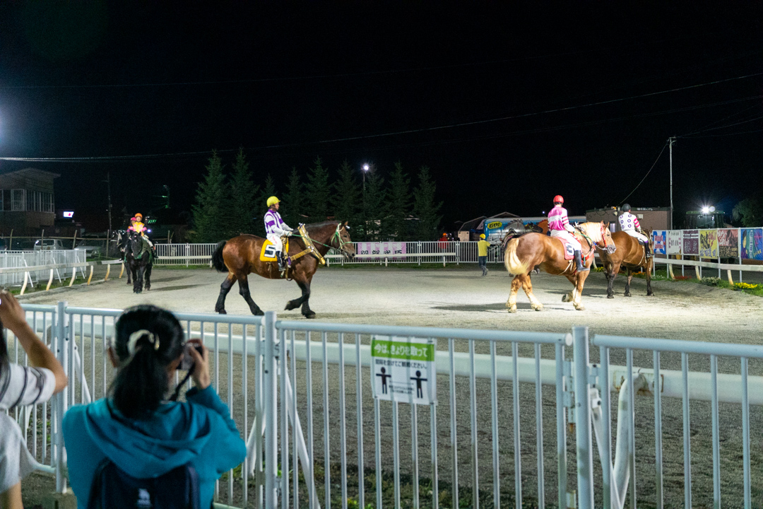 f:id:unyora-d:20210111012911j:plain