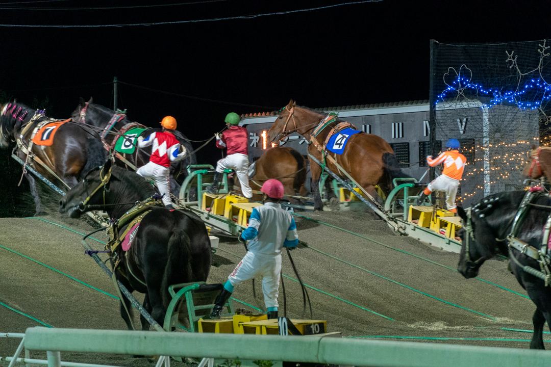 f:id:unyora-d:20210111021202j:plain