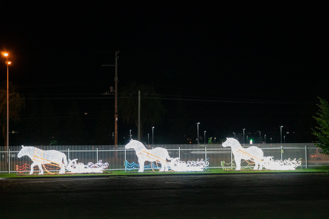 f:id:unyora-d:20210111021936j:plain