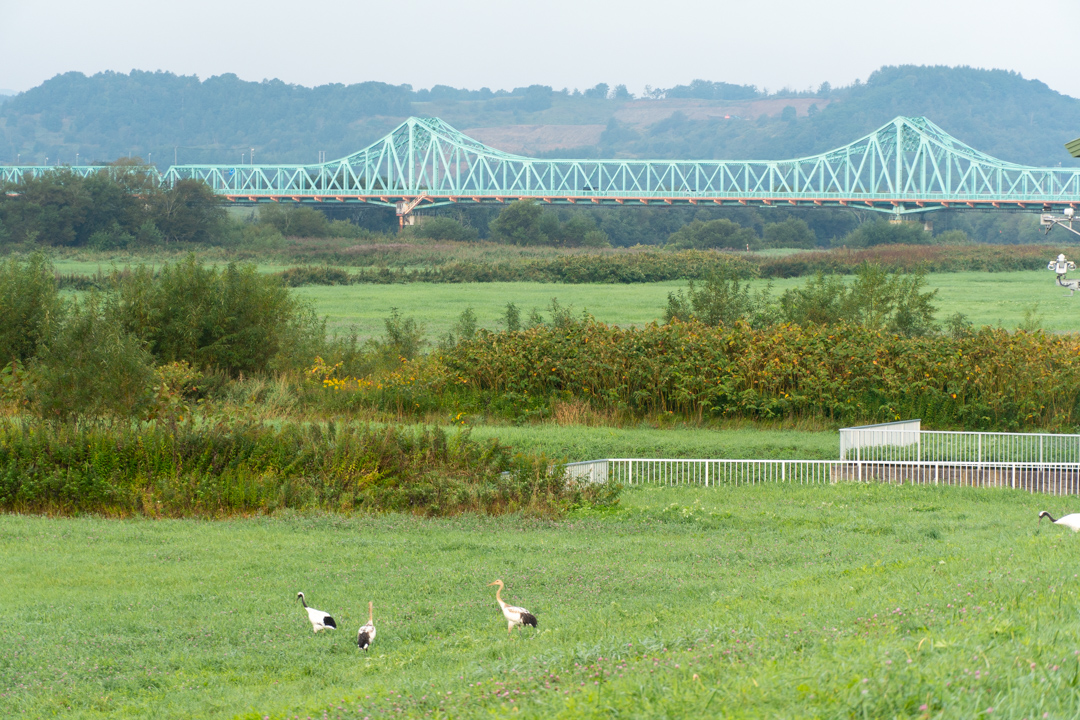 f:id:unyora-d:20210111140152j:plain