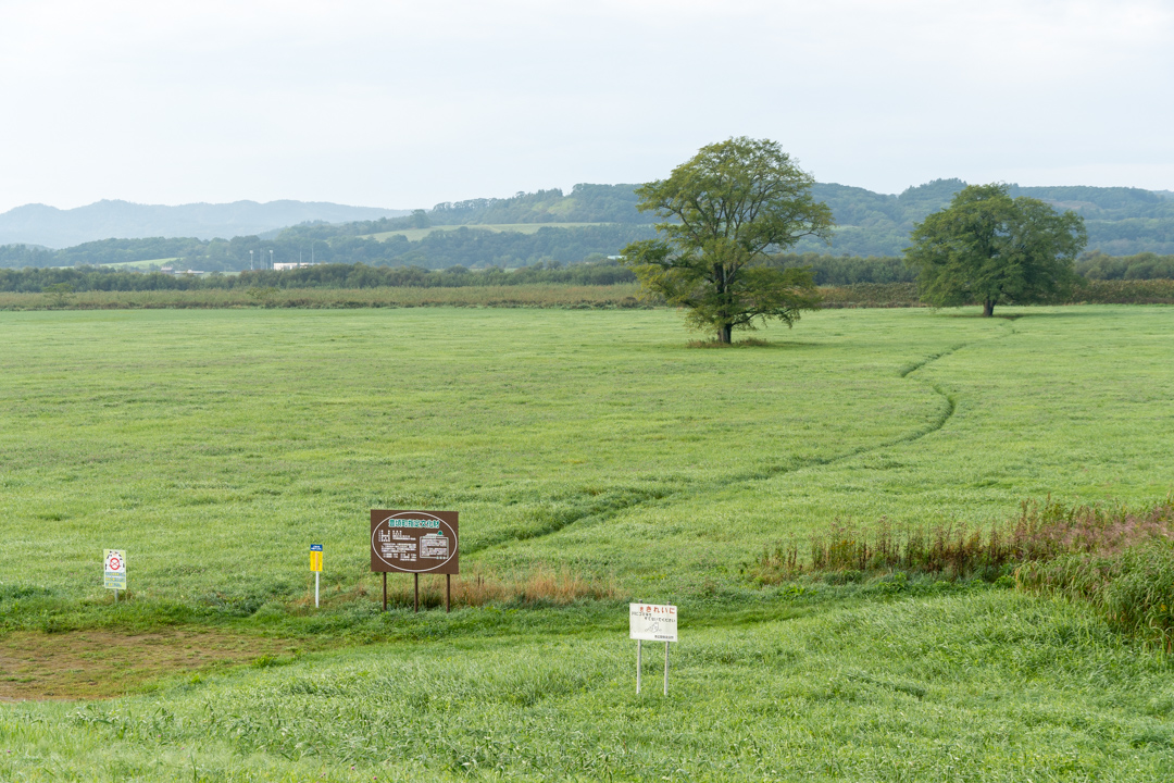 f:id:unyora-d:20210111142254j:plain