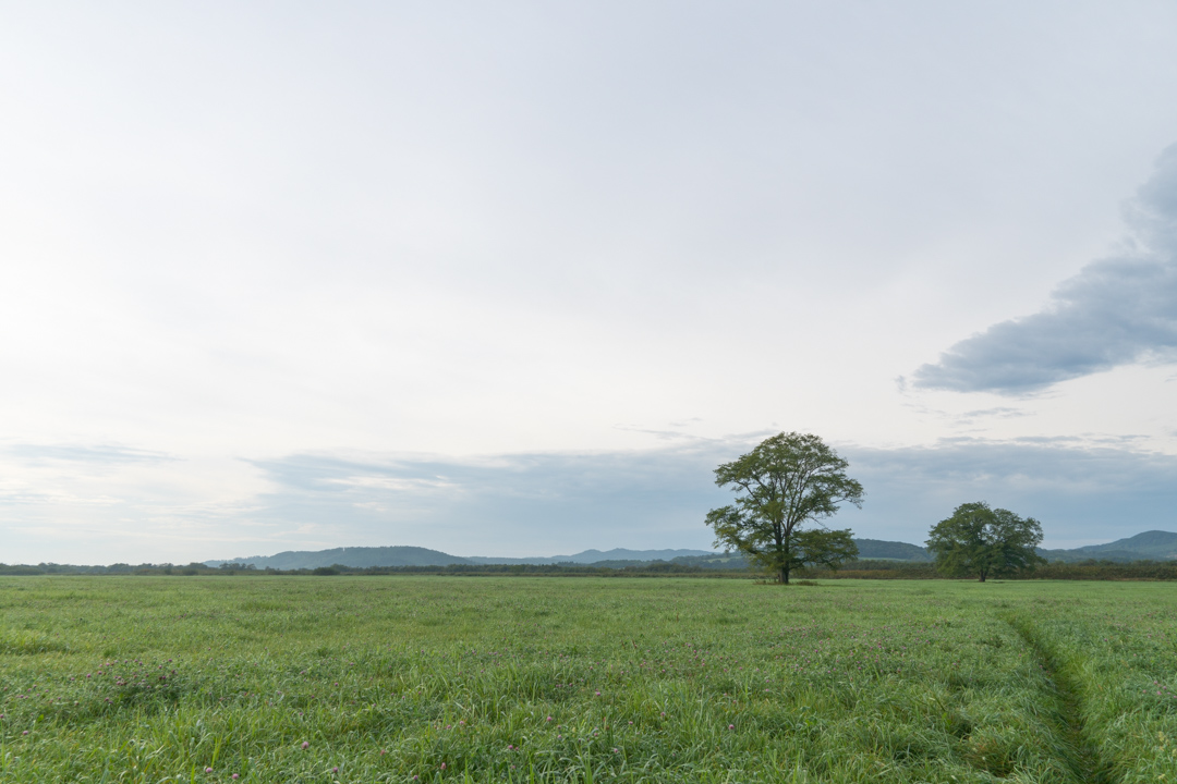 f:id:unyora-d:20210111142641j:plain