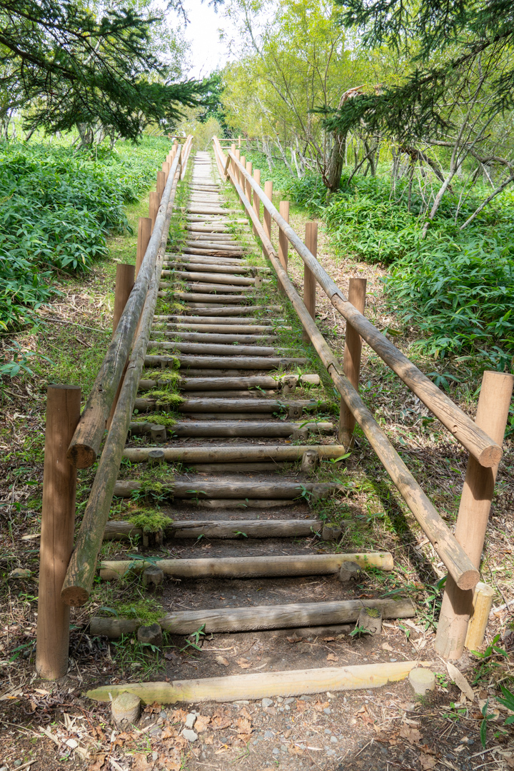 f:id:unyora-d:20210111204534j:plain