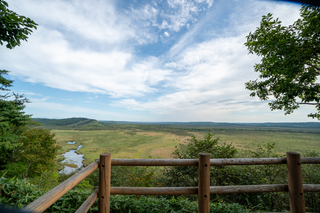 f:id:unyora-d:20210111204710j:plain