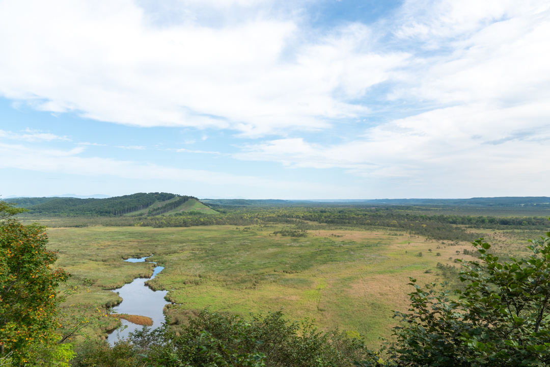 f:id:unyora-d:20210111205307j:plain