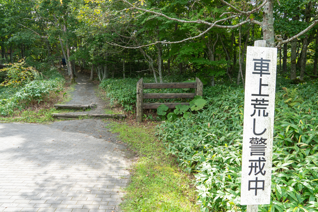 f:id:unyora-d:20210111212153j:plain