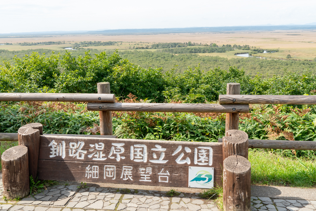 f:id:unyora-d:20210111215845j:plain