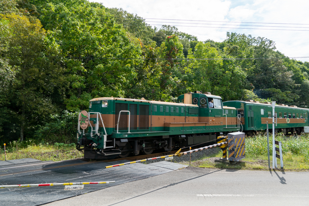 f:id:unyora-d:20210111220233j:plain