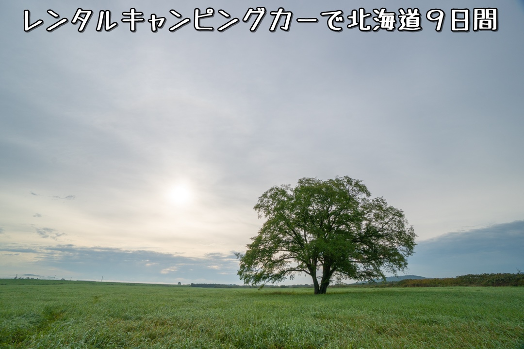 f:id:unyora-d:20210111220941j:plain