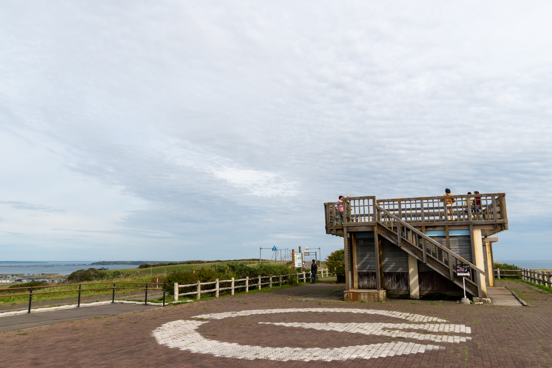 f:id:unyora-d:20210111230752j:plain