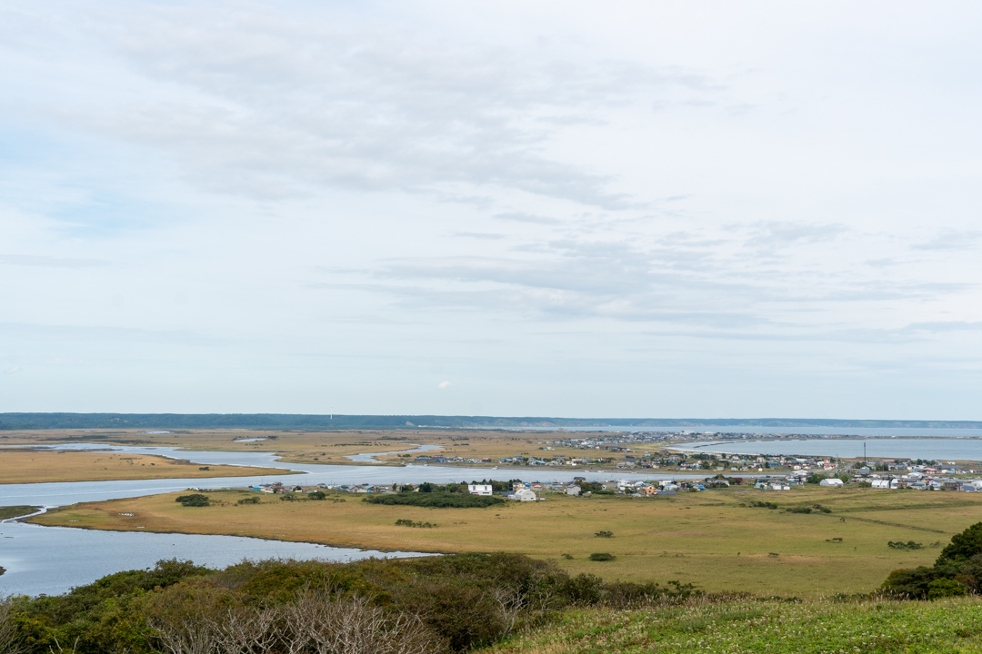 f:id:unyora-d:20210111231604j:plain