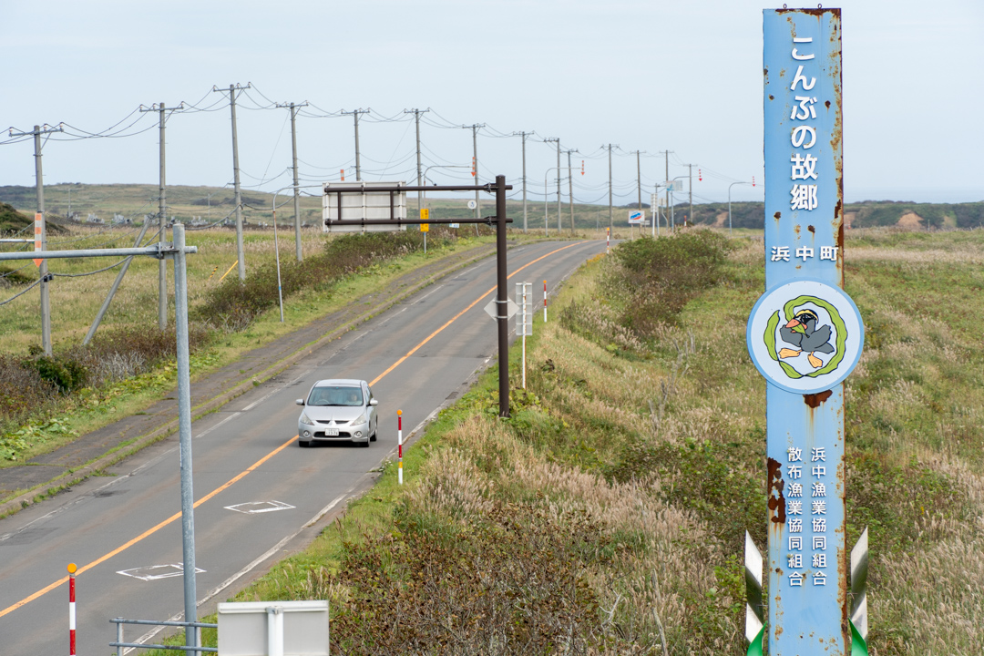 f:id:unyora-d:20210111231903j:plain