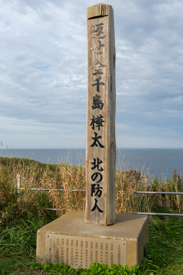 f:id:unyora-d:20210113224550j:plain