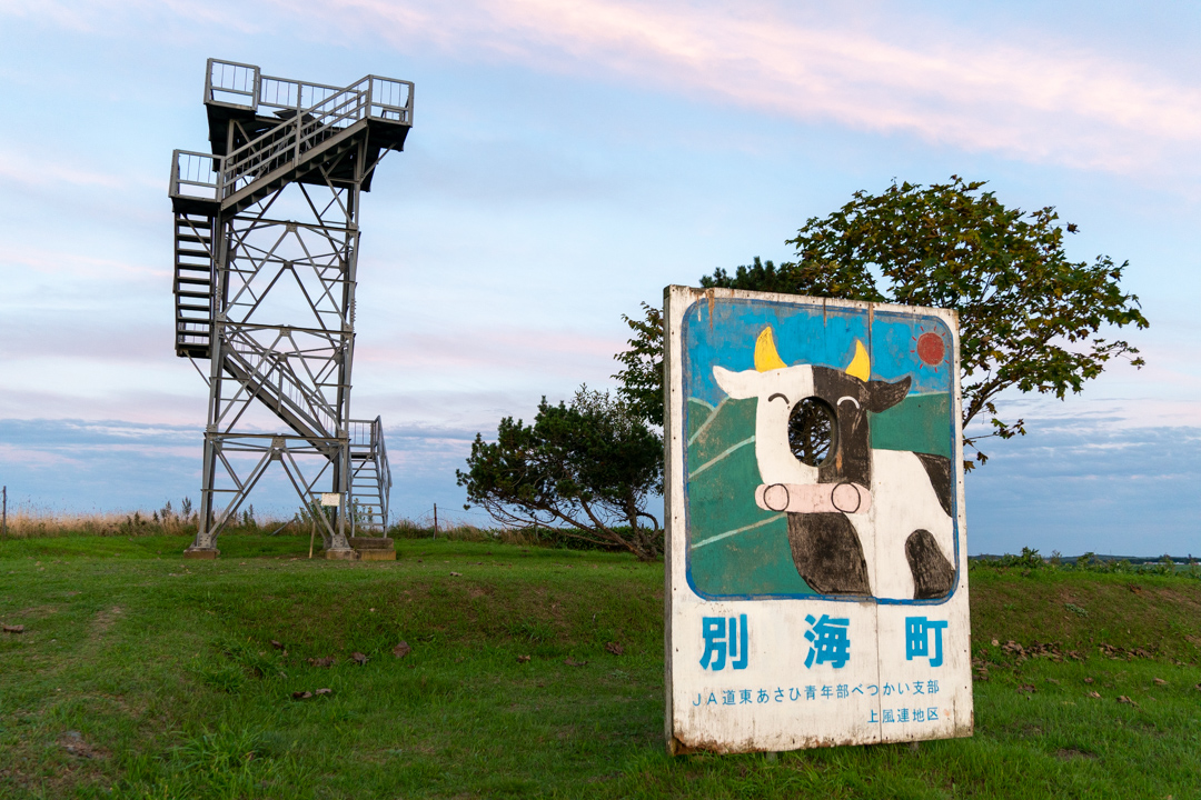 f:id:unyora-d:20210113234813j:plain