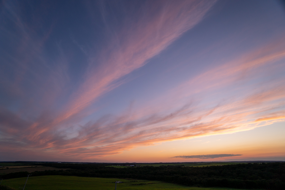 f:id:unyora-d:20210114215723j:plain