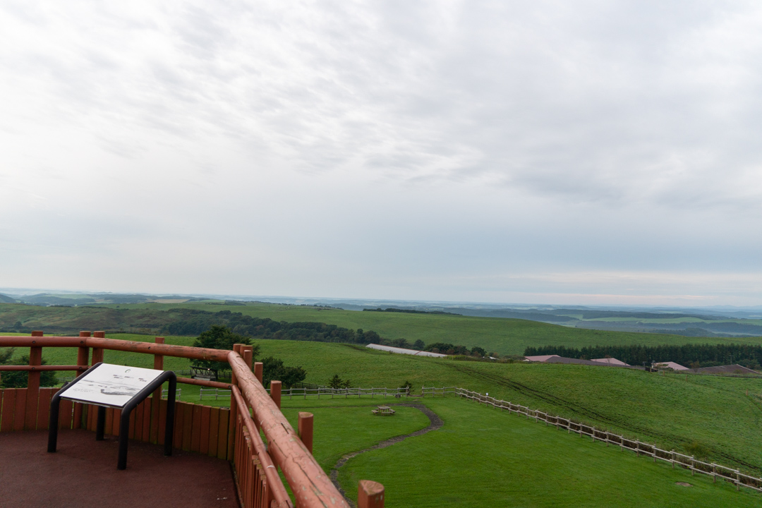 f:id:unyora-d:20210115005743j:plain