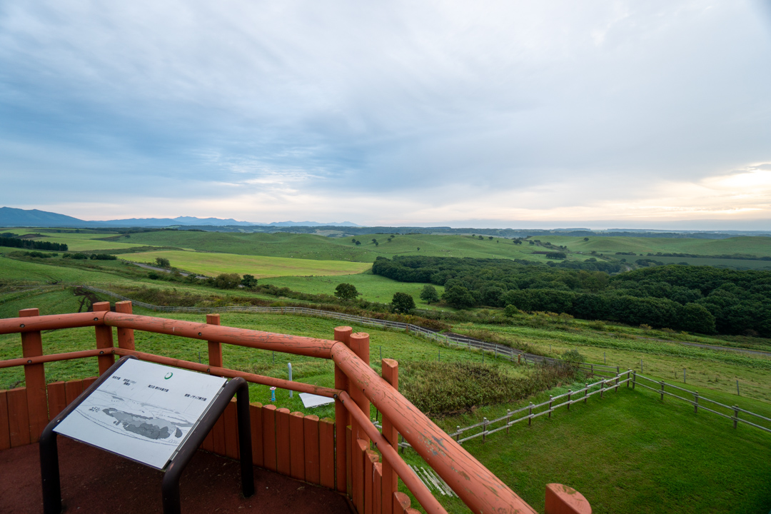 f:id:unyora-d:20210115005847j:plain