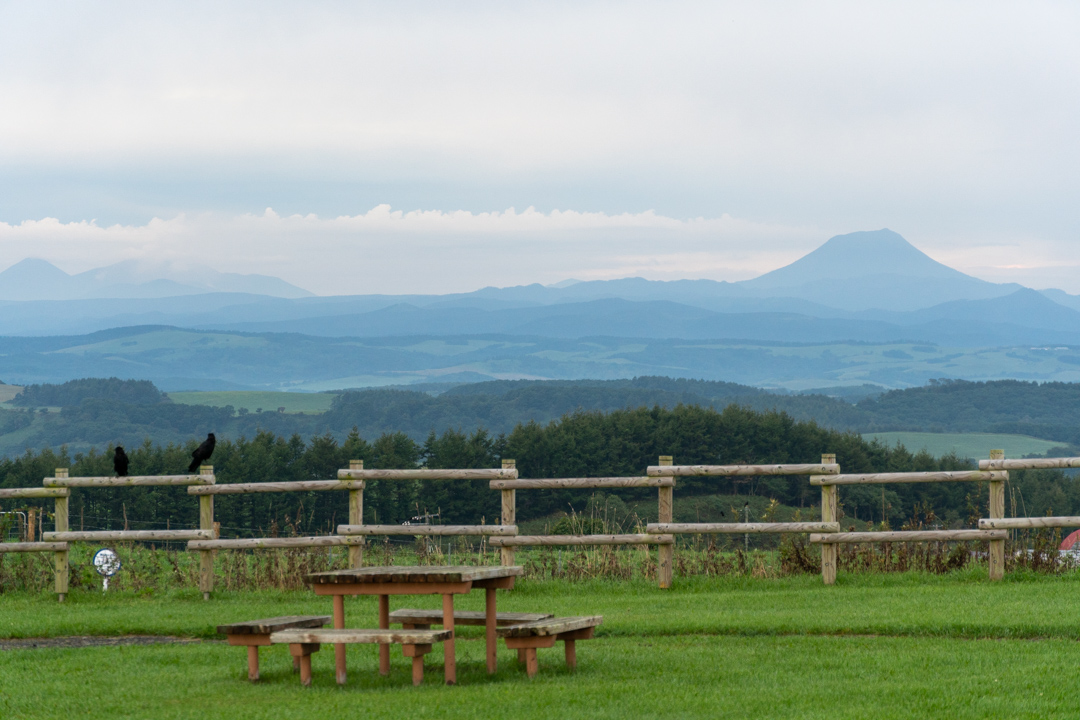 f:id:unyora-d:20210115010208j:plain