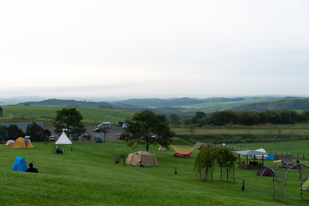 f:id:unyora-d:20210115010322j:plain