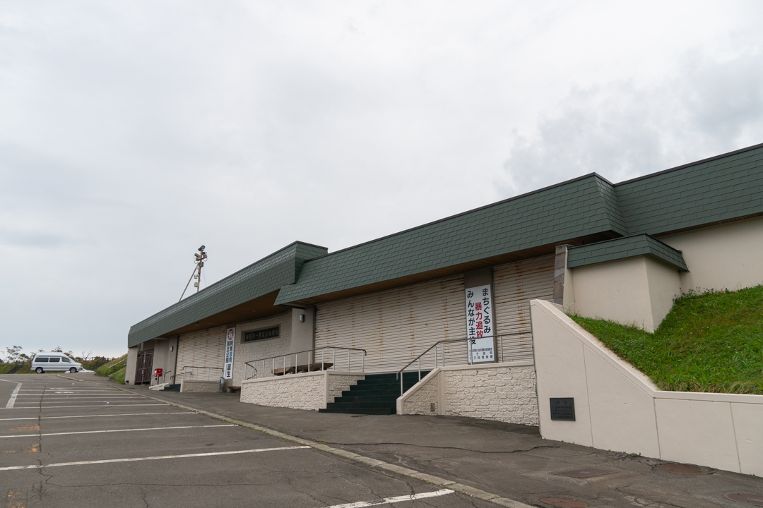 f:id:unyora-d:20210115214715j:plain