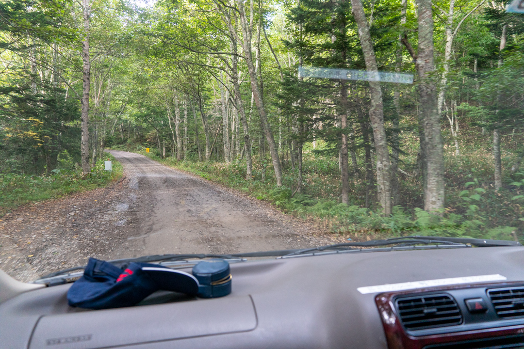 f:id:unyora-d:20210116213011j:plain