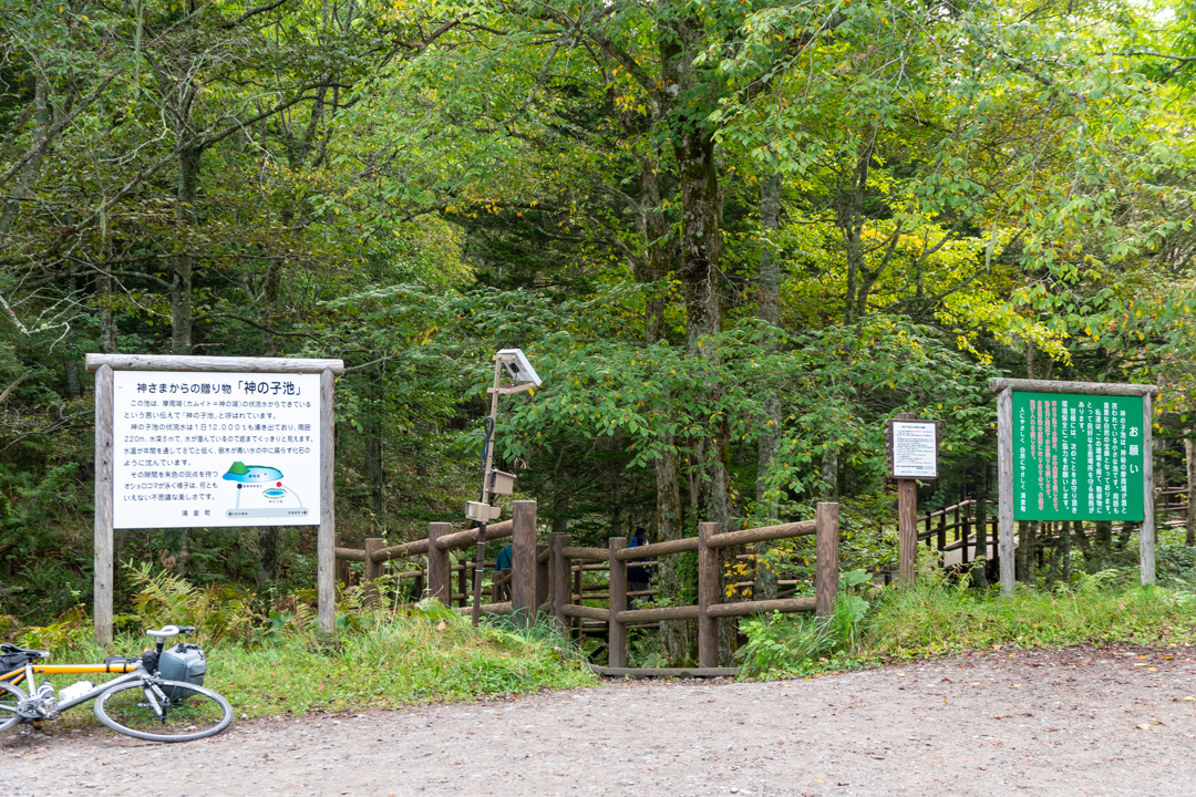 f:id:unyora-d:20210116215745j:plain