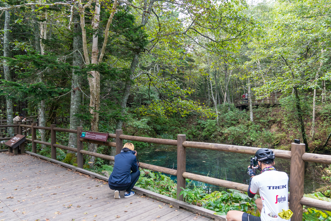 f:id:unyora-d:20210116220113j:plain