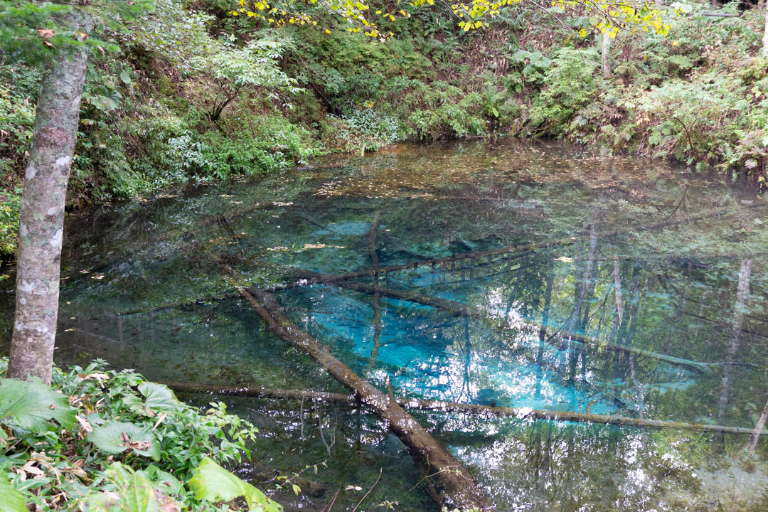 f:id:unyora-d:20210117003849j:plain