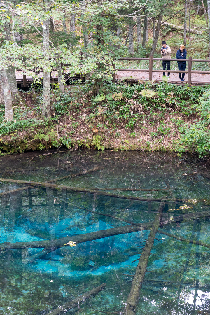 f:id:unyora-d:20210117004012j:plain