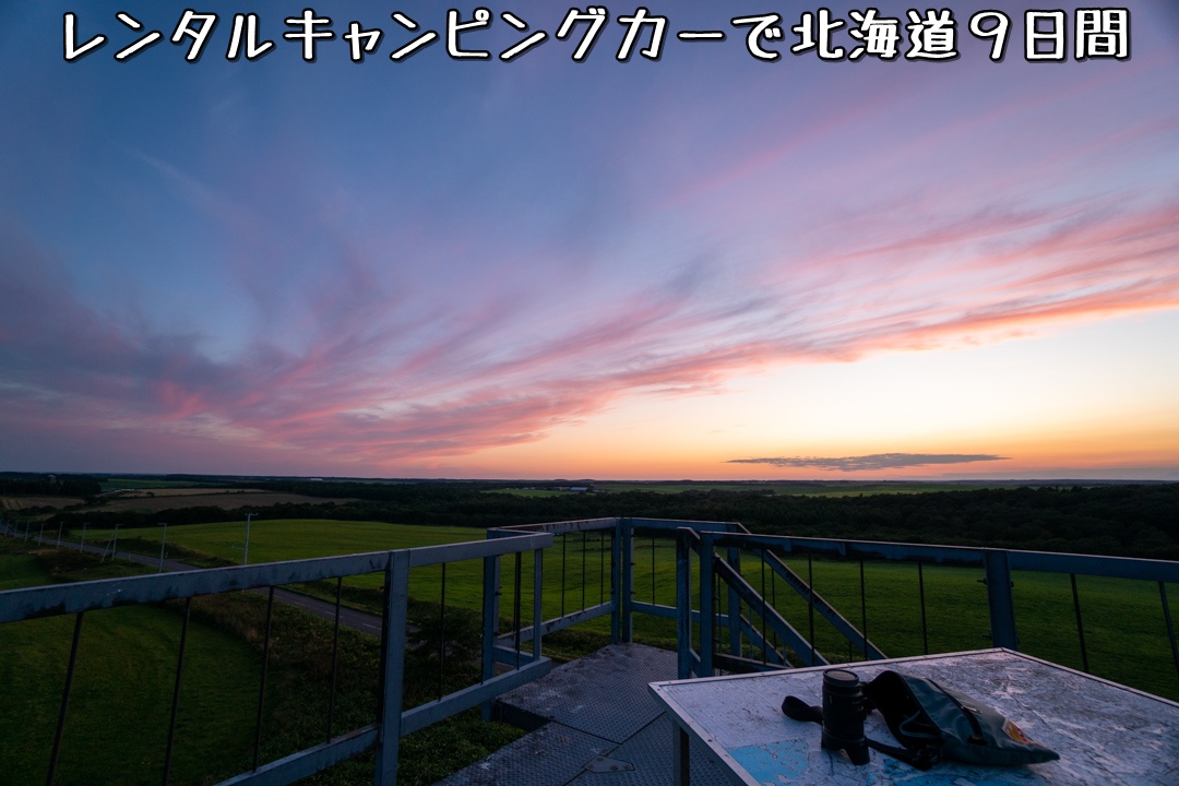 f:id:unyora-d:20210117005337j:plain