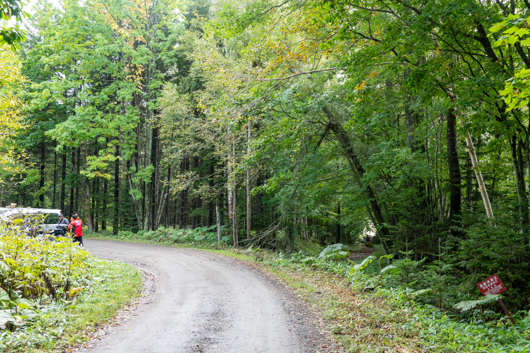 f:id:unyora-d:20210124223615j:plain