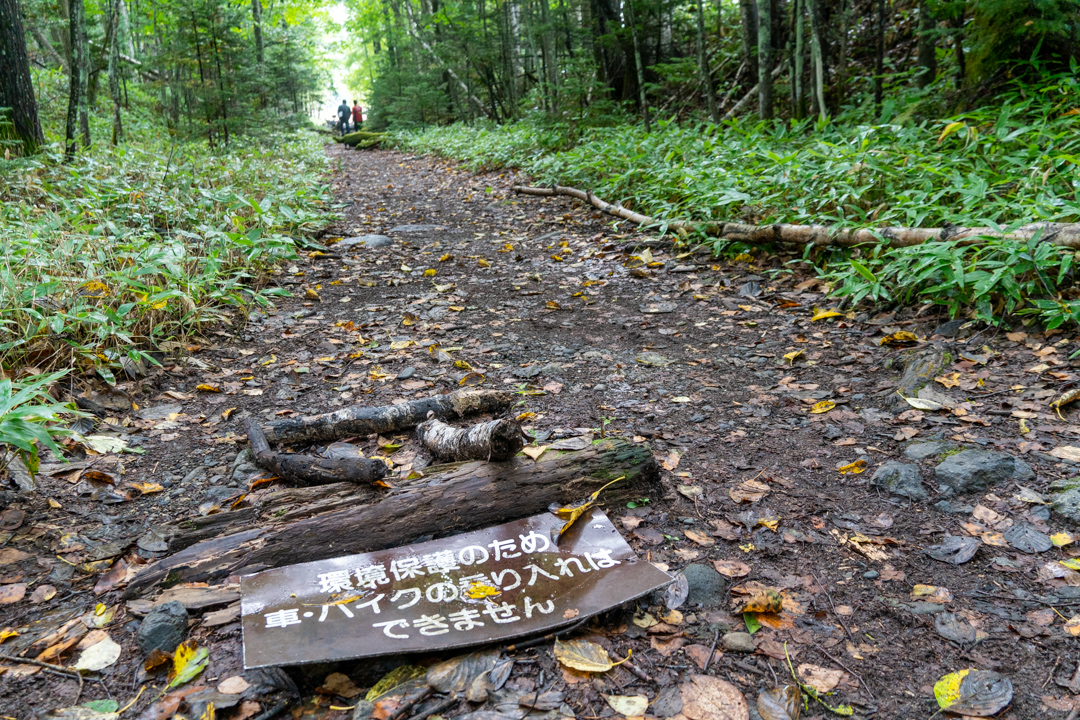 f:id:unyora-d:20210124224000j:plain