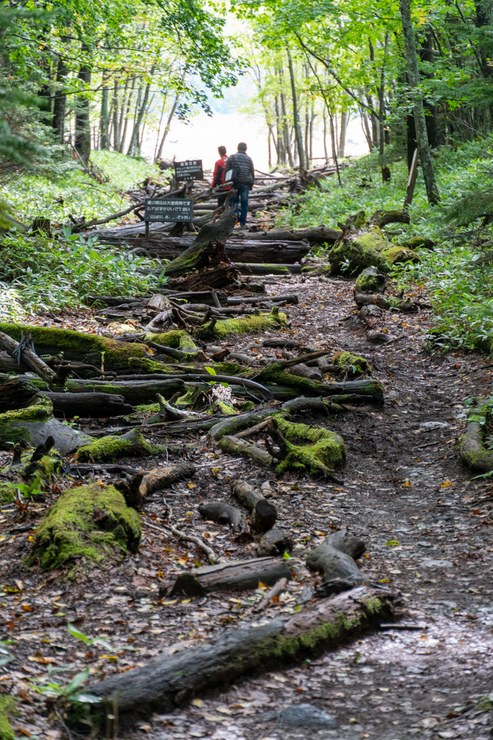 f:id:unyora-d:20210124224222j:plain