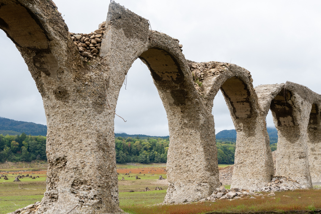 f:id:unyora-d:20210124230004j:plain