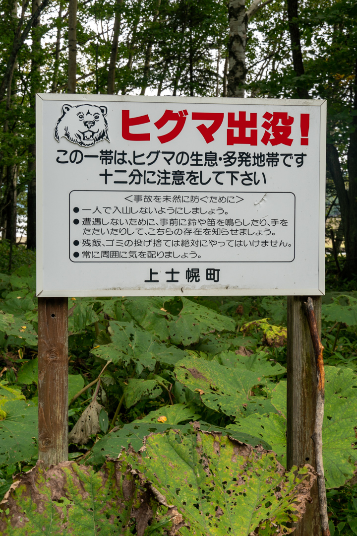 f:id:unyora-d:20210124235823j:plain