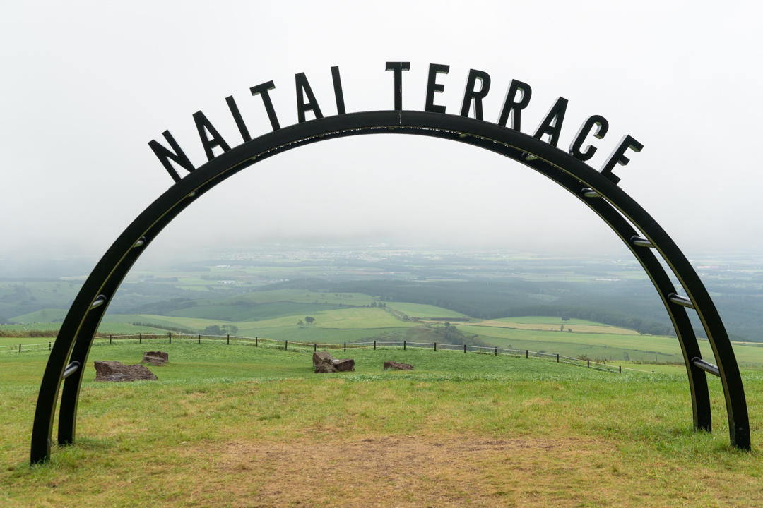 f:id:unyora-d:20210126222011j:plain