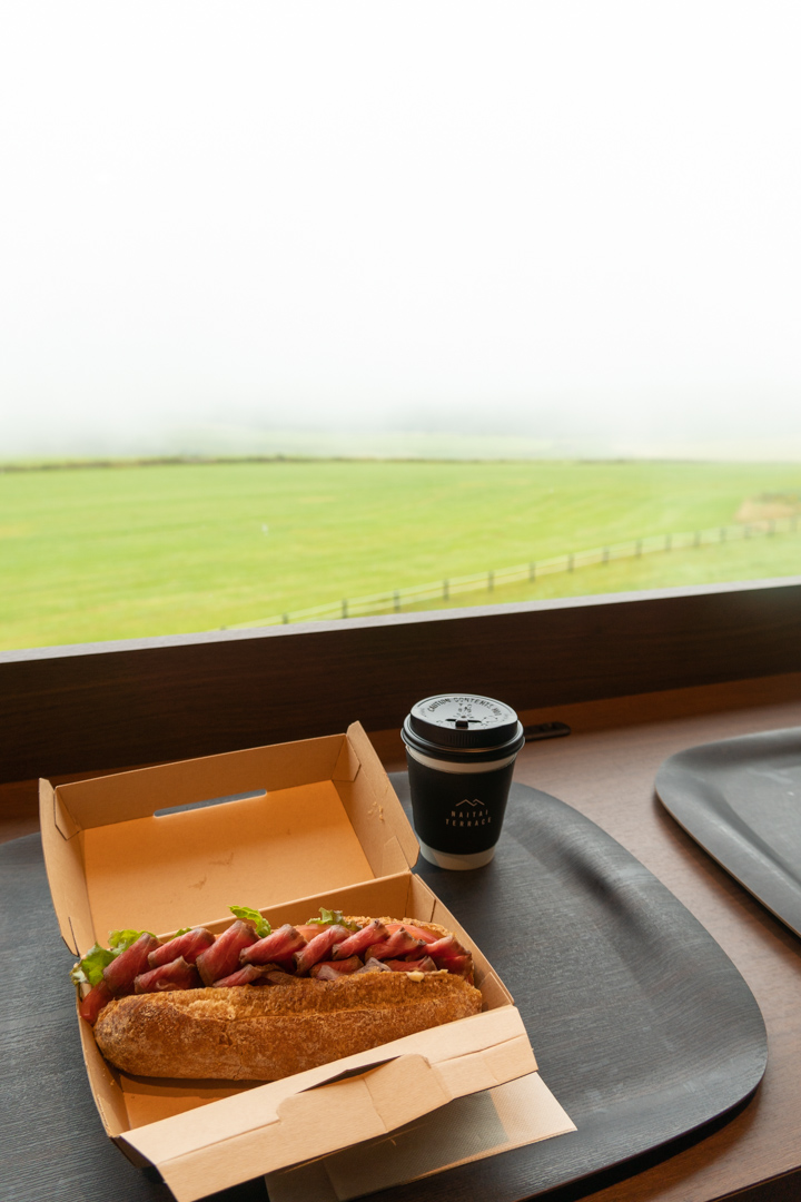 f:id:unyora-d:20210126231405j:plain