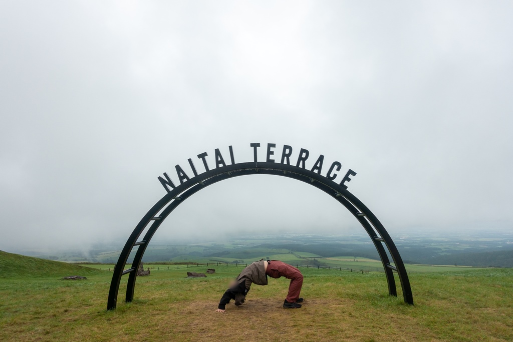 f:id:unyora-d:20210126234644j:plain