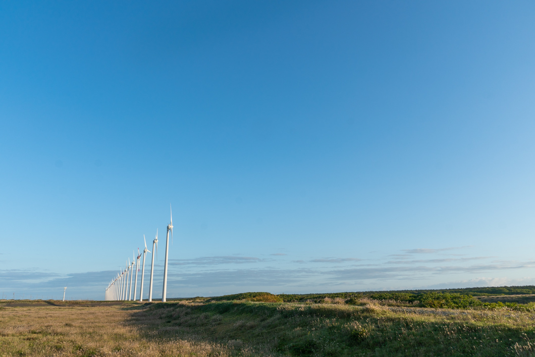 f:id:unyora-d:20210131063939j:plain