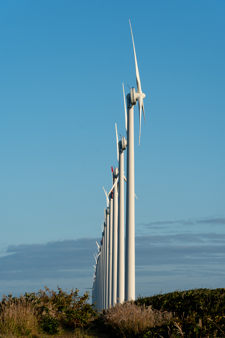 f:id:unyora-d:20210131064212j:plain