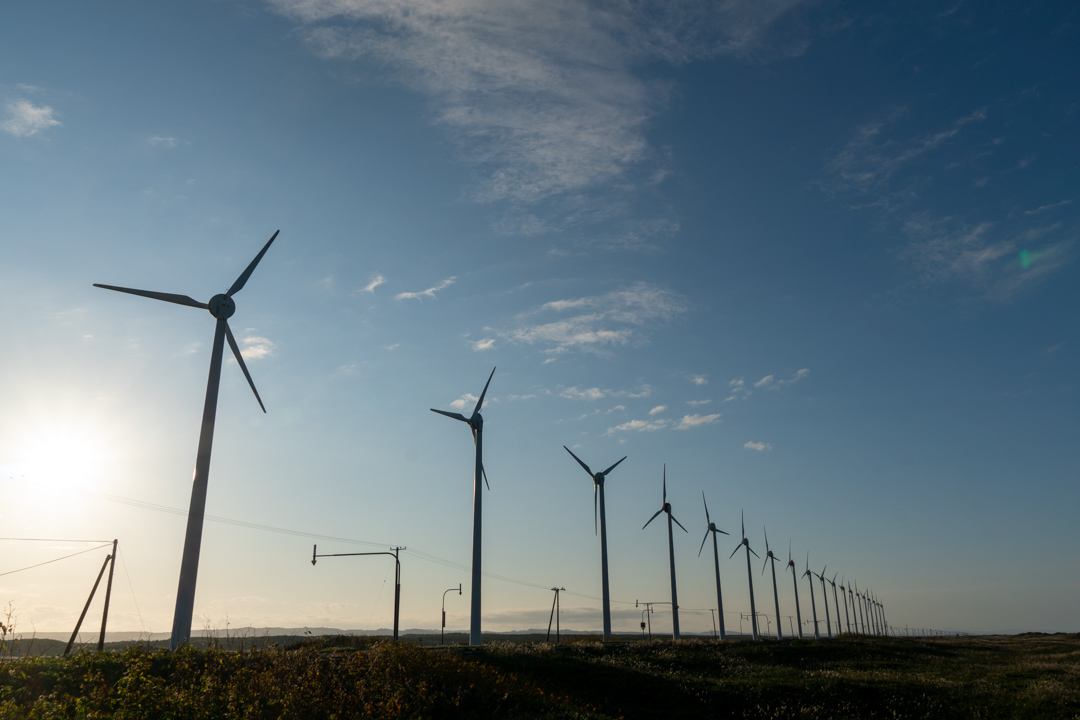 f:id:unyora-d:20210131065431j:plain